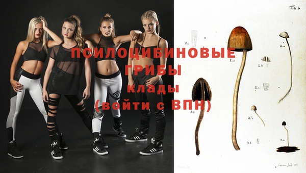 мдпв Липки