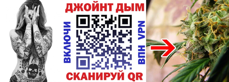 Купить закладки  Моздок  Канабис сатива 